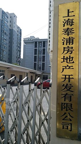 上海奉浦房地产开发 深耕本土的区域房地产标杆