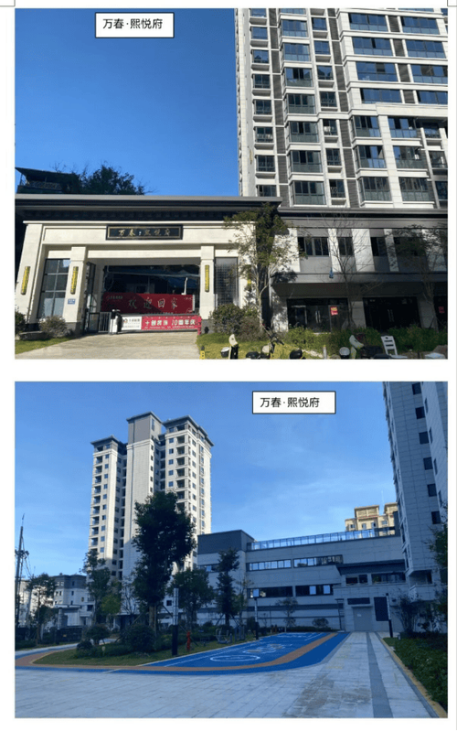 房地产开发经营 概念、业务范围与市场定位
